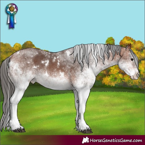 Horse Color:White Spotted Bay