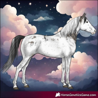Horse Color:Black Splash Tobiano  and Grullo Splash Tobiano 
