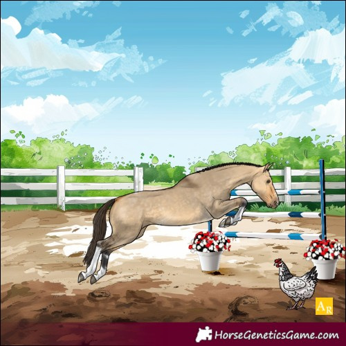 Horse Color:Buckskin Dun Tobiano