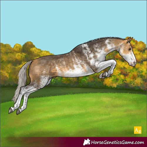 Horse Color:White Spotted Silver Buckskin