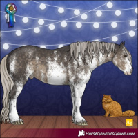 Horse Color:White Spotted Silver Smoky Black 