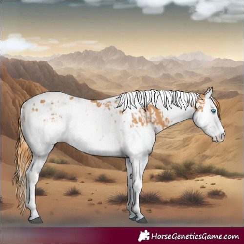 Horse Color:Chestnut Splash Tobiano and Chestnut Splash Tobiano