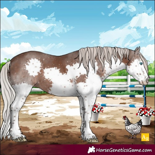 Horse Color:White Spotted Silver Black Splash Varnish 