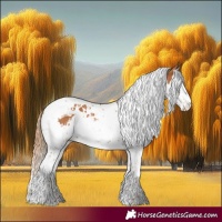 Horse Color:Chestnut Splash Tobiano and Chestnut Splash Tobiano