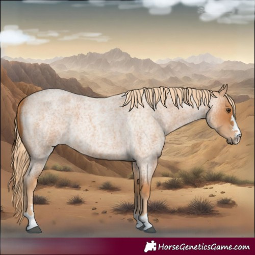 Horse Color:Red Roan 