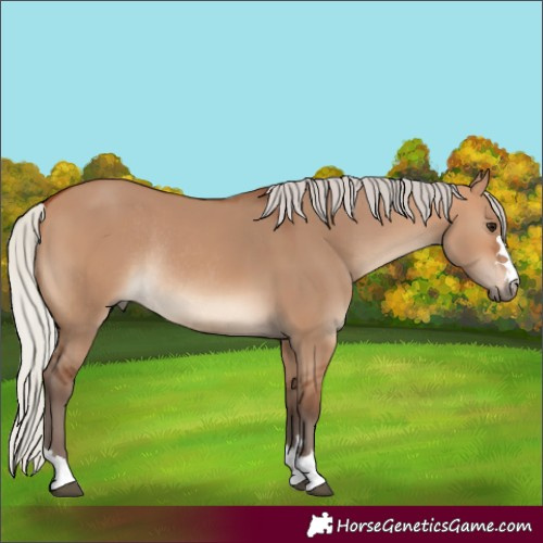 Horse Color:Silver Bay Dun Rabicano 