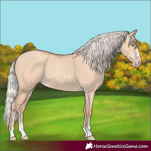 Horse Color:Silver Classic Champagne Dun