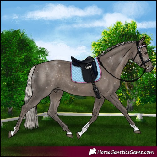 Horse Color:Silver Black Tobiano 