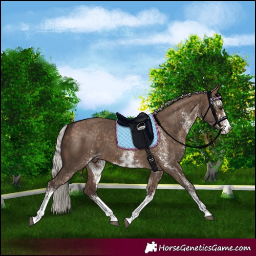 Horse Color:White Spotted Silver Brown Dun Brindle
