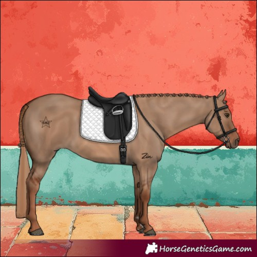 Horse Color:Red Dun