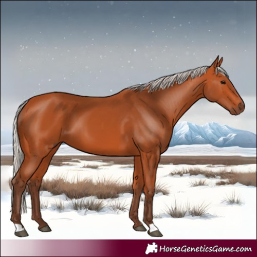 Horse Color:Silver Bay