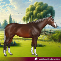 Horse Color:Gray Silver Bay 