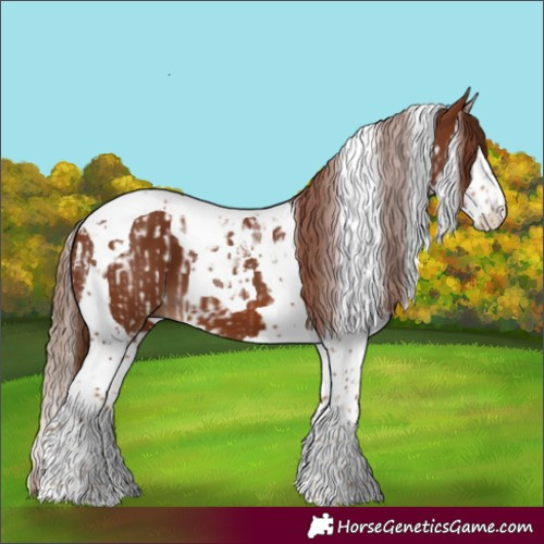 Horse Color:Chestnut Splash Tobiano  and Chestnut Splash Tobiano 