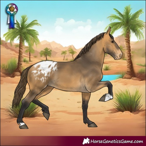 Horse Color:Buckskin Blanket 