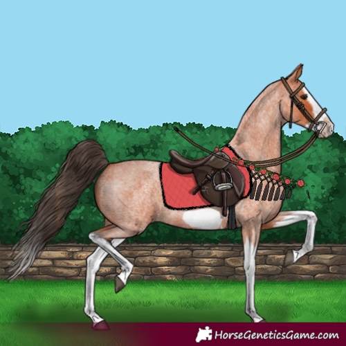 Horse Color:Bay Roan Splash Frame