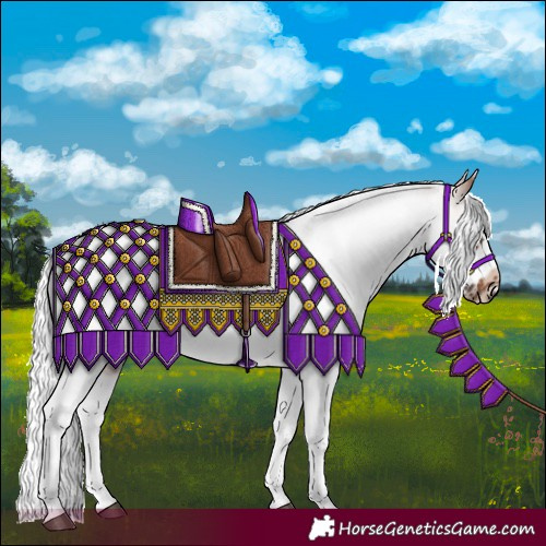 Horse Color:White Spotted Bay Roan Frame