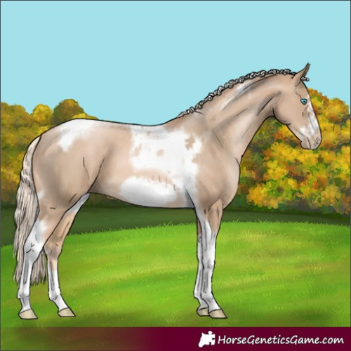 Horse Color:Chocolate Palomino Pearl Tobiano Frame and Chocolate Palomino Pearl Splash Tobiano Frame