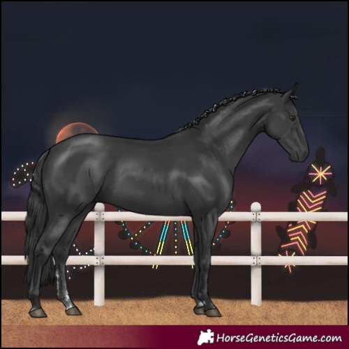 Horse Color:Black Rabicano