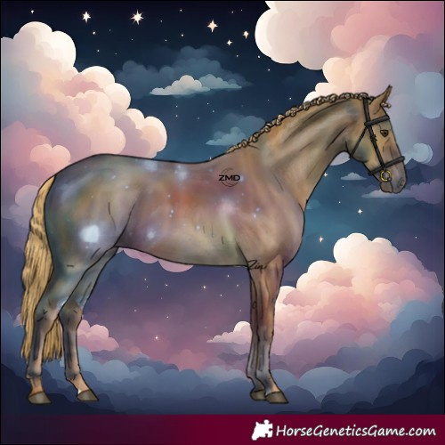 Horse Color:Gray Red Dun Varnish