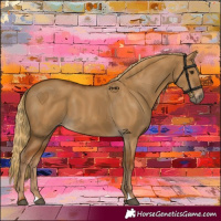 Horse Color:Gray Red Dun Varnish 