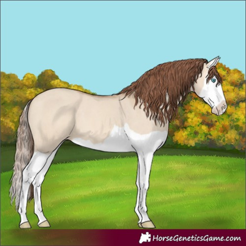 Horse Color:Amber Champagne Dun Splash Varnish