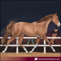 Horse Color:Gold Champagne Splash Tobiano