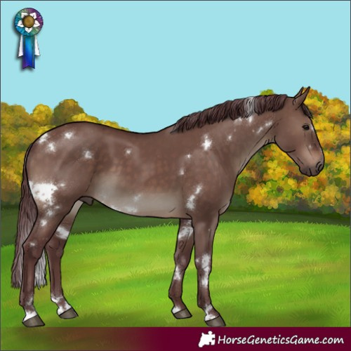 Horse Color:White Spotted Chocolate Brown Dun 