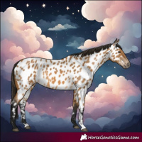 Horse Color:Gray Buckskin Near Leopard 