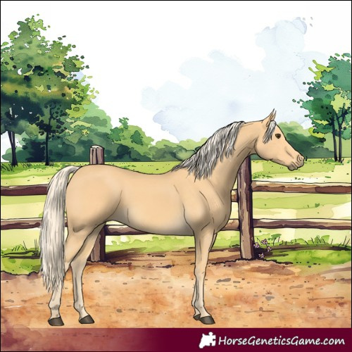Horse Color:Palomino 