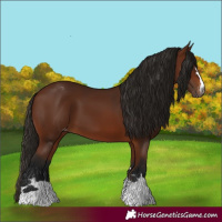 Horse Color:Gray Bay Varnish