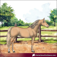 Horse Color:Red Dun