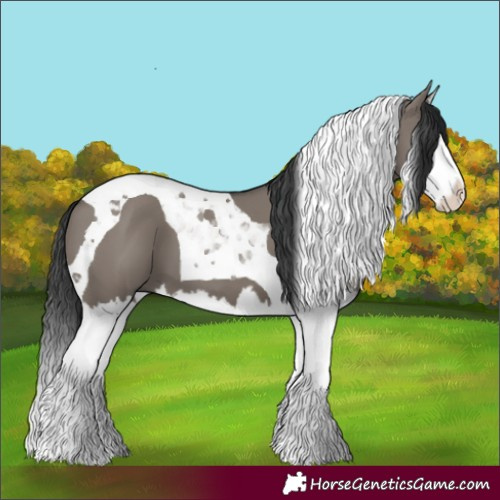 Horse Color:Grullo Splash Tobiano 