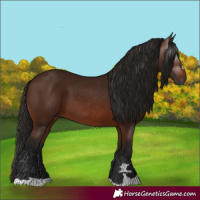 Horse Color:Gray Bay