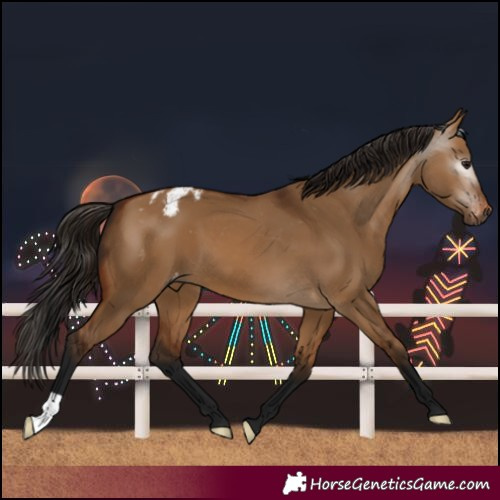 Horse Color:Gray Bay Dun Varnish 