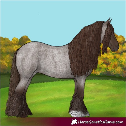 Horse Color:Liver Red Roan 