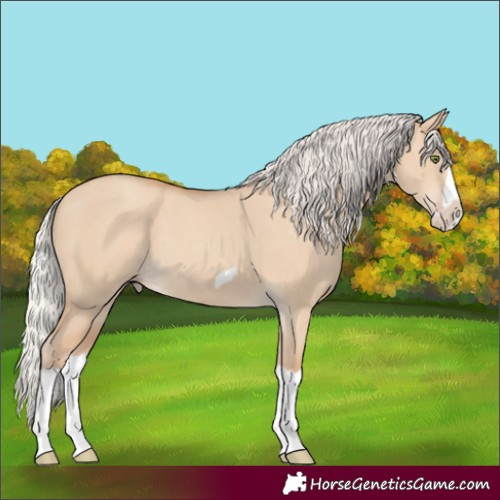 Horse Color:Silver Classic Champagne Dun Splash Frame