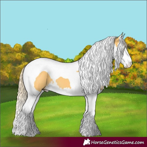 Horse Color:Palomino Splash Tobiano