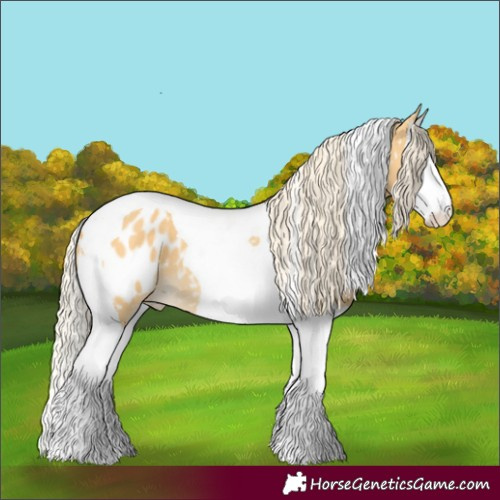 Horse Color:Palomino Dun Splash Tobiano Appaloosa 