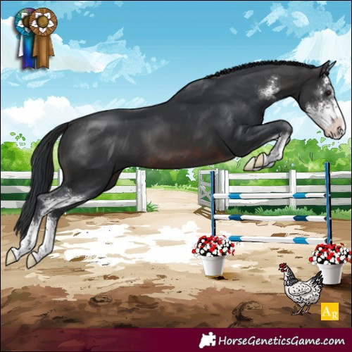 Horse Color:Brown Sabino 