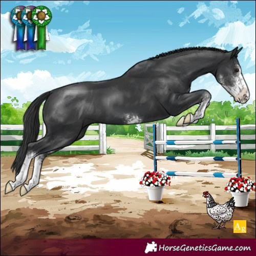 Horse Color:Black Sabino