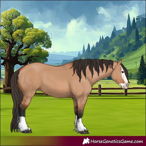 Horse Color:Bay Dun Splash 