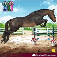 Horse Color:Buckskin 