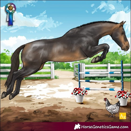 Horse Color:Buckskin 