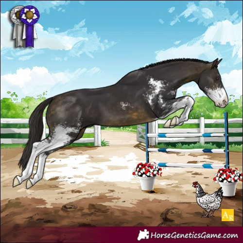 Horse Color:Buckskin Sabino 
