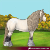 Horse Color:Buckskin Roan Dun Varnish