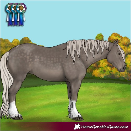 Horse Color:Silver Black Tobiano