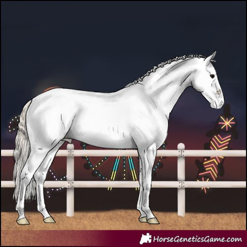 Horse Color:White Spotted Silver Grullo Roan Rabicano