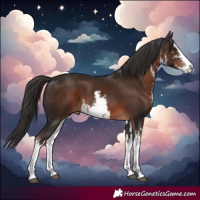 Horse Color:White Spotted Liver Chestnut