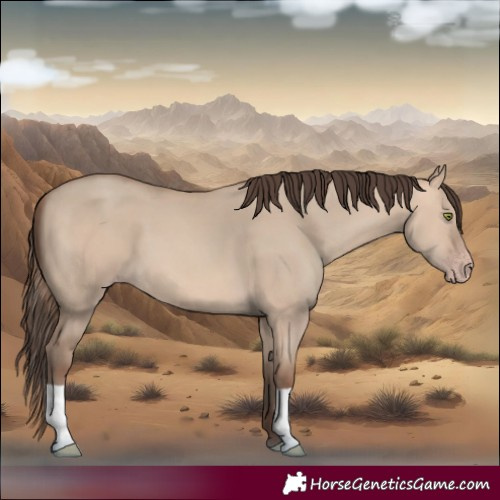 Horse Color:Amber Champagne Dun 
