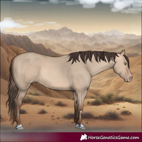 Horse Color:Amber Champagne Dun Rabicano